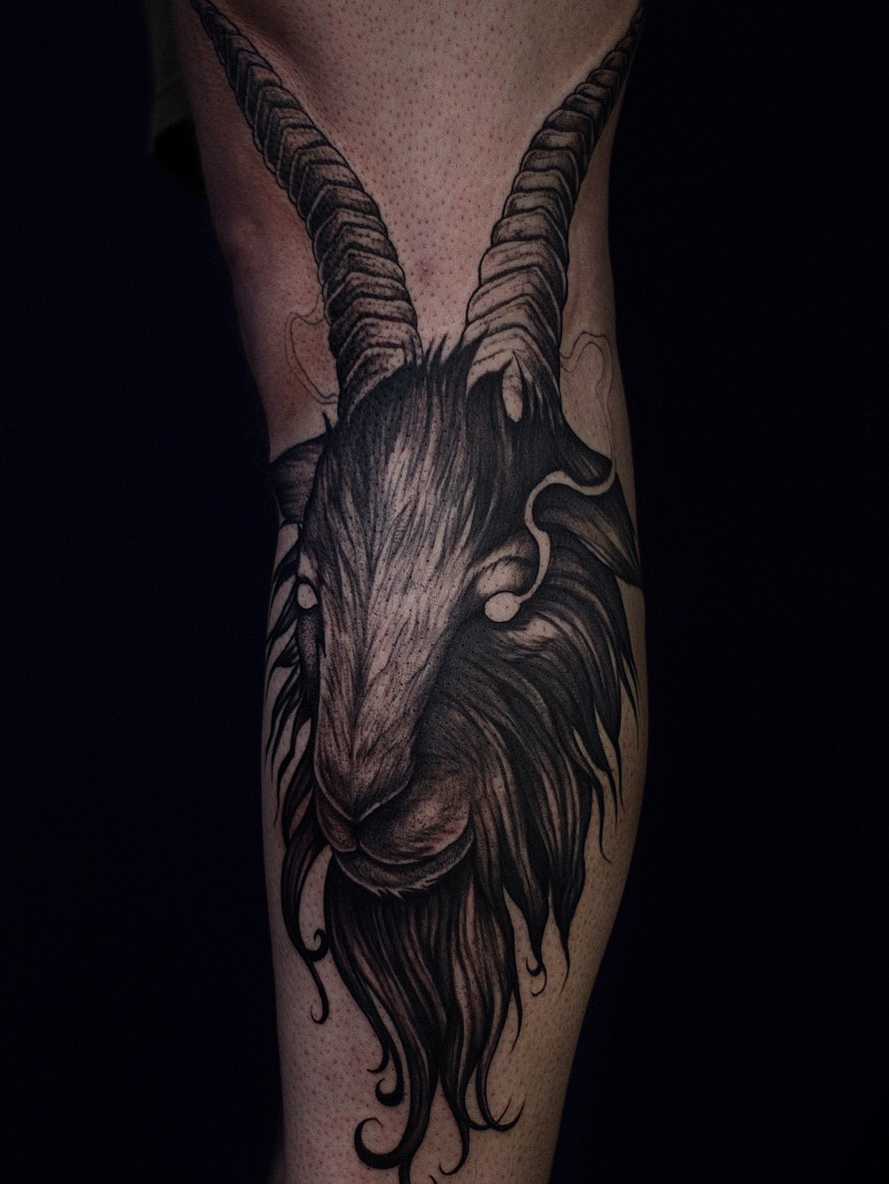 Tattoo Animais