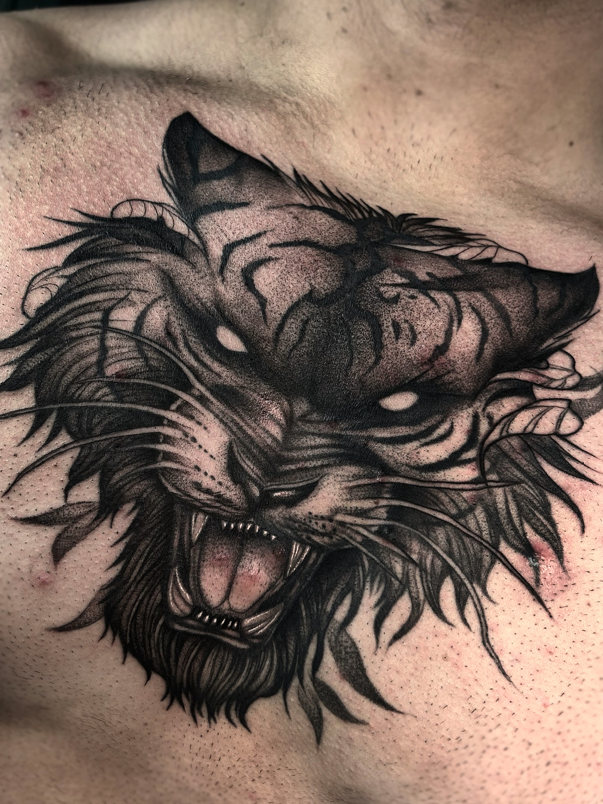 Tattoo Animais