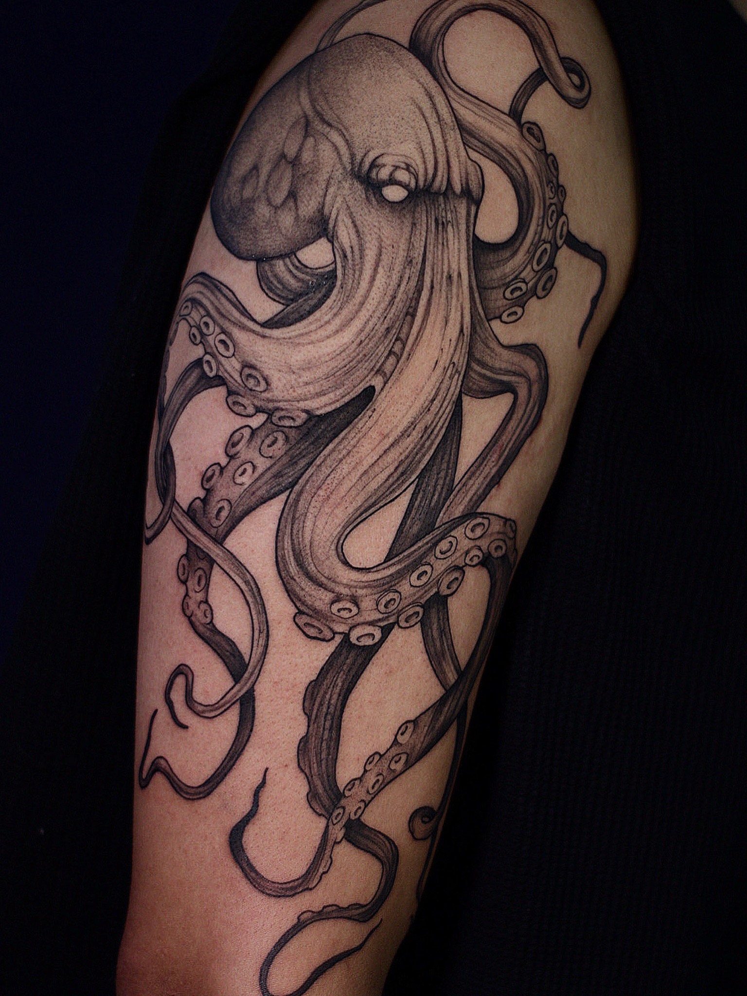 Tattoo Animais